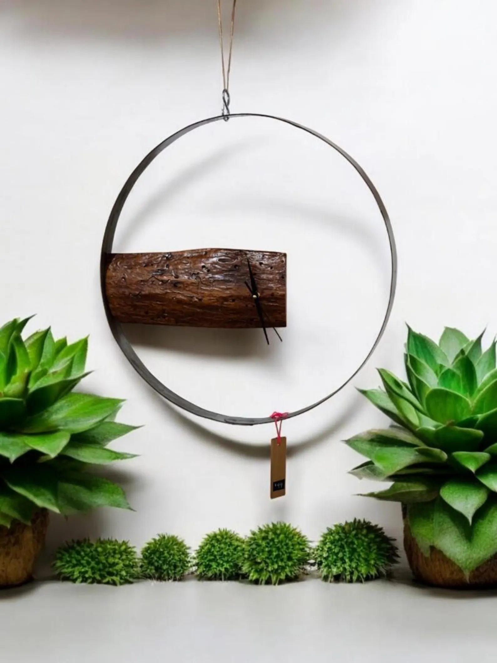 Hanging wall clock made from a log and metal ring, surrounded by green potted plants and small shrubs against a white background.